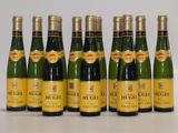 six bouteilles de vin sont alignées sur une surface blanche