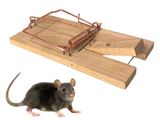 a mousetrace with a mouse on it and a mousetrace with a mousetrace on it