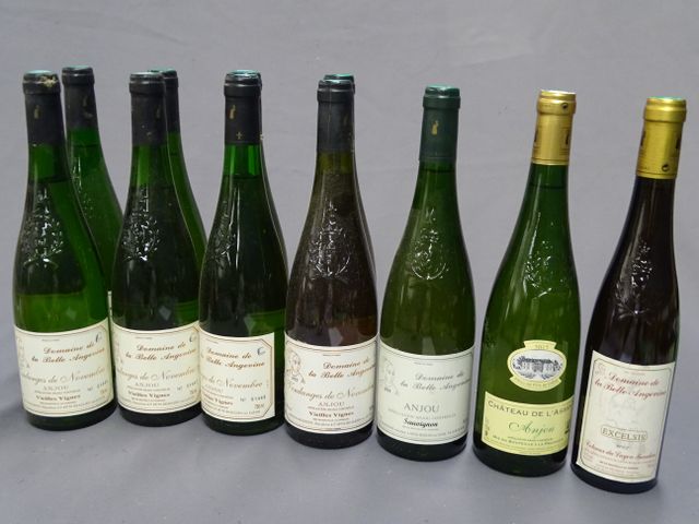 Anjou blanc : DOMAINE DE LA BELLE ANGEVINE, 6 bouteilles de 2004,...