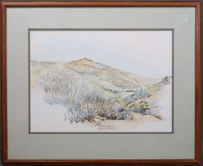 aquarelle encadrée représentant un paysage désertique, dans un cadre en bois