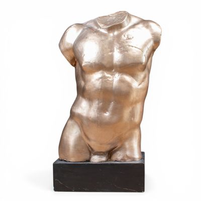 TRAVAIL CONTEMPORAIN Torse d'homme