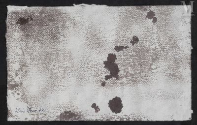 une photo en noir et blanc d'une feuille de papier parsemée de taches