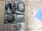 un livre avec des images de fleurs sur la couverture et un mot sur la page