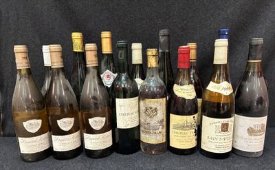 les nombreuses bouteilles de vin alignées sur la table