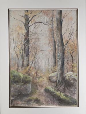 a painting of a forest scene with rocks and trees