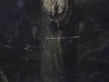 a bird that is sitting on a branch in the dark