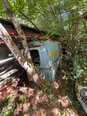 deux vieilles voitures garées l'une à côté de l'autre dans les bois