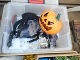 a bird that is sitting in a box with a jack o lantern on top of it