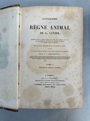 an open book with a picture of an animal on it