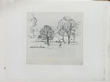 a picture of a book with a drawing of a park