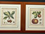 two framed pictures of fruit and leaves on a black background