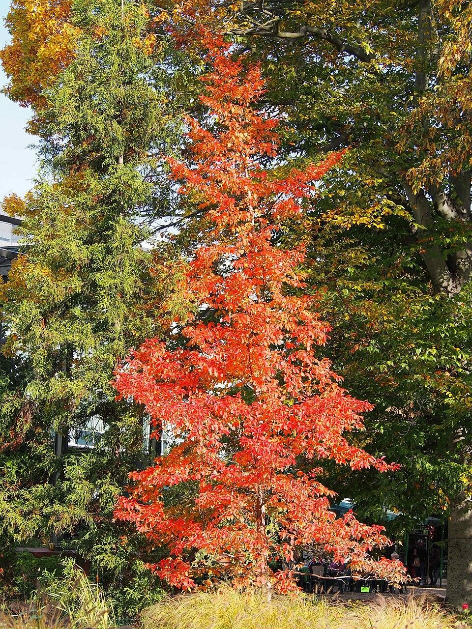 Destockage & Invendus