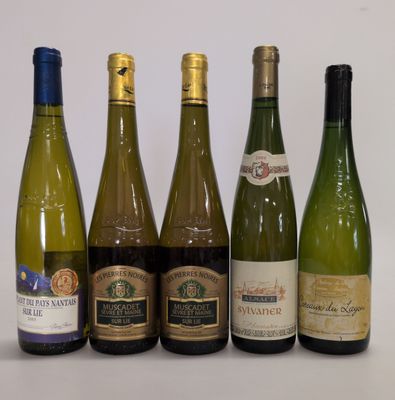 plusieurs bouteilles de vin sont alignées sur une table