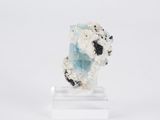 a small piece of blue and white mineral on a white stand