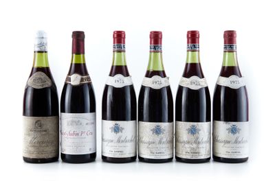 six bouteilles de vin sont alignées sur une surface blanche