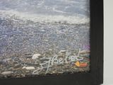 a picture of a picture of a beach with a shell on it