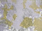 a close up of a painting of a map on a piece of paper