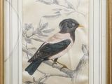 painting of a bird perched on a branch in a gold frame