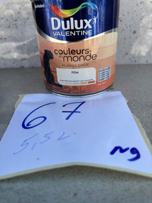 Ensemble de peinture Dulux Valentine Couleurs du Monde, tein…