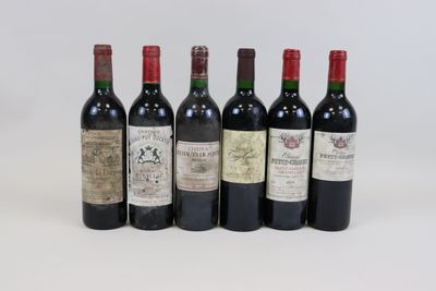 six bottles of wine are lined up in a row on a white surface