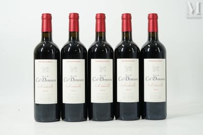 six bouteilles de vin rouge sont alignées sur une surface blanche