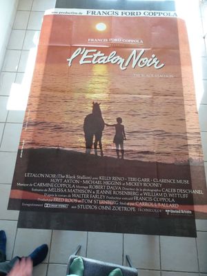 une affiche accrochée au mur d'une gare, à côté de laquelle se tiennent un homme et un enfant