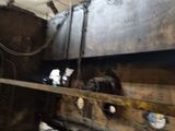 an image of a machine that is working on a piece of wood