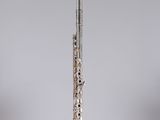 the flute is in a clear glass holder on a gray background