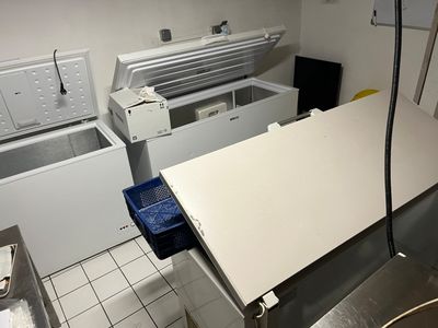 an image of a kitchen with a refrigerator and a freezer