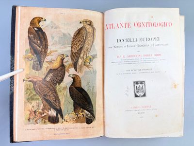 un livre ouvert sur lequel figure l'image de deux oiseaux