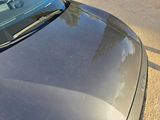 a cat that is sitting on the hood of a car
