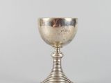 l'image d'une coupe en argent posée sur une table