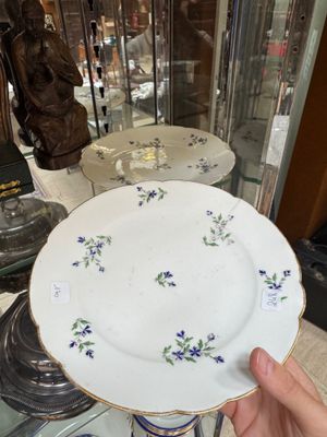 a person holding a plate with purple flowers on it