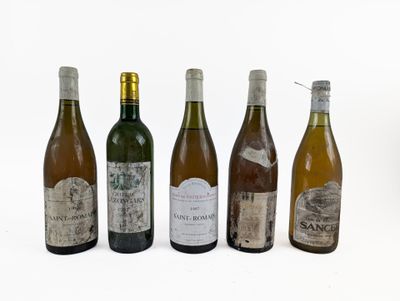 six bouteilles de vin sont alignées sur une surface blanche