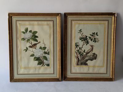 two framed pictures of birds and flowers on a white wall