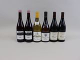 six bouteilles de vin sont alignées sur une surface blanche