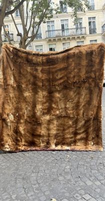 une couverture marron posée par terre près d'un arbre
