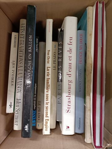 Lot de livres illustrés (voyages)