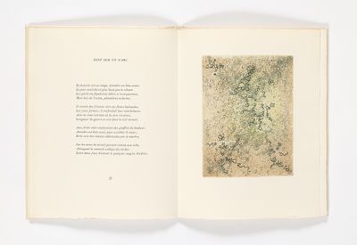 un livre ouvert sur lequel figure l'image d'une plante