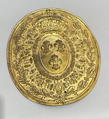 gold coin with the image of a lion in a crown on it