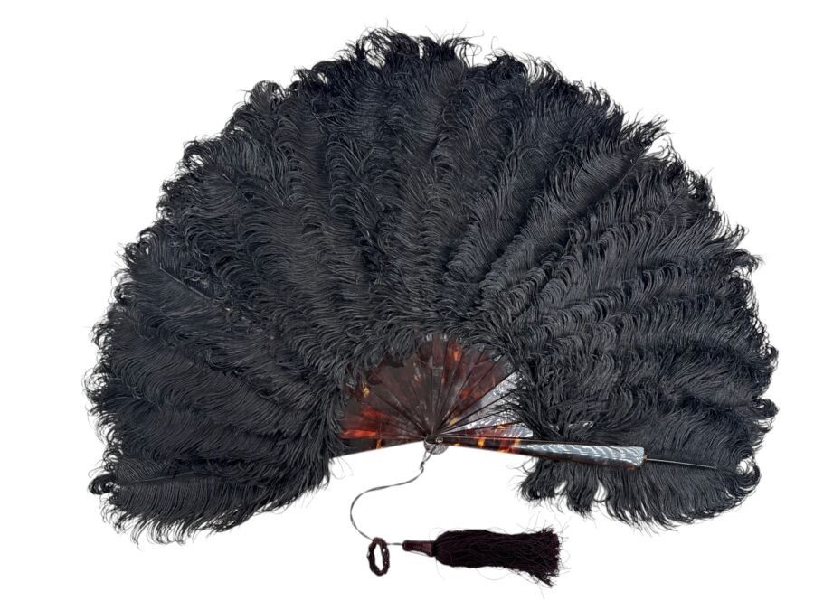Plumes noires, Europe, vers 1890-1900