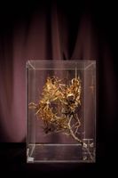 [ARTIFICIALIA] (photo 2)