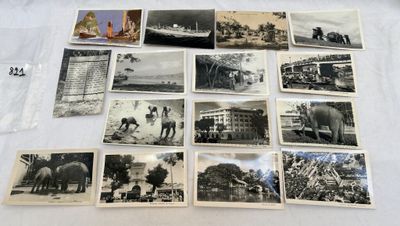plusieurs vieilles photographies en noir et blanc représentant des éléphants et des personnes
