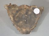 an image of a piece of wood with a tag on it