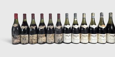 plusieurs bouteilles de vin sont alignées dans une rangée