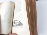 a person holding an open book with a drawing on it