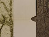 a picture of a piece of paper with a picture of a bear on it