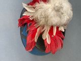 a red and white flower on top of a blue vase