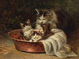 tableau représentant trois chats dans un bol en cuivre posé sur un sol carrelé