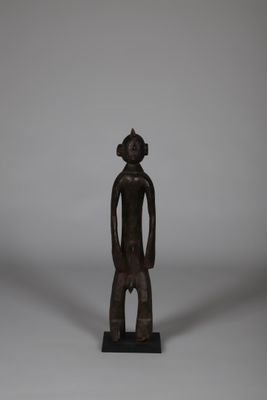Figure à crête sagittale et oreilles circulaires